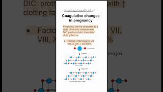 Coagulative changes in pregnancy [upl. by Eirrehs]