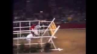 World Record Horse High Jump 2 32 meters [upl. by Rekoob472]