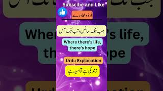 Learn 5 difficult but important urdu idioms and their English translations with urdu explanation [upl. by Arvell]