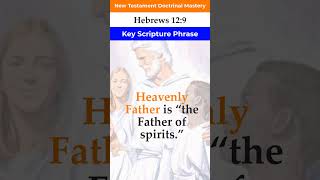 Hebrews 129  2023 New Testament Doctrinal Mastery shorts [upl. by Hermine130]