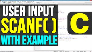 Scanf Function in C Programming Language Video Tutorial [upl. by Ahseik627]