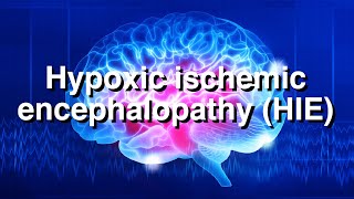 Hypoxic Ischemic Encephalopathy HIE [upl. by Whitehouse]