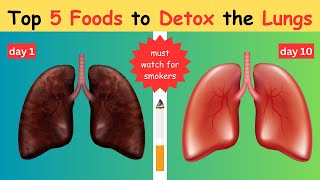 5 Best Foods that Helps to Detox the Lungs  Must Watch for Smokers [upl. by Inahs142]