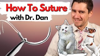 How a Veterinarian Sutures a Dog or Cat Dr Dan explains sutures [upl. by Edwyna]