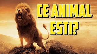 ✔Ce animal estiTest de personalitate [upl. by Xylina]