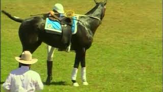 Australian Polocrosse National Championships  Sydney 2006  Intermediate Mens Final  NSW vs QLD [upl. by Zetneuq]