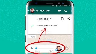 WhatsApp convertir AUDIO a TEXTO alternativa gratuita [upl. by Steffie437]