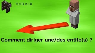 Comment diriger unedes entités  Tuto 10 [upl. by Roice682]