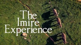 The Imire Experience  Rhino and Wildlife Conservation in Africa [upl. by Johansen]