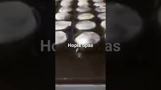 hopia tipas [upl. by Aihsyt128]