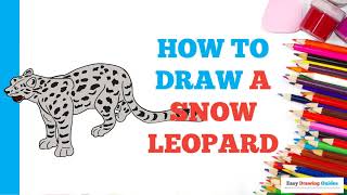 How to Draw a Snow Leopard in a Few Easy Steps Drawing Tutorial for Beginner Artists [upl. by Enilekcaj861]