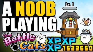 NOOB TO PRO 116  I SPENT 5 MILLION XP ON THAT NO WAY DUDE😭  The Battle Cats [upl. by Ennaeerb]