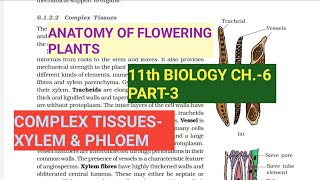 Class 11 BiologyCh6 Part3Complex tissues Xylem amp phloemStudy with Farru [upl. by Dorion]