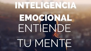 Inteligencia Emocional  Podcast 53 [upl. by Merc]