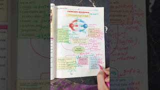 Acidsbases and Salts Formation and types Chemistry Class 10 [upl. by Whitcher]