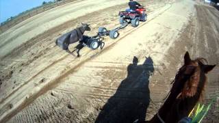 Team Roping Position 5 Heeling steers that run Straight [upl. by Bobbee]