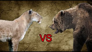 Cave Lion vs Cave Bear  SPORE [upl. by Aimek195]