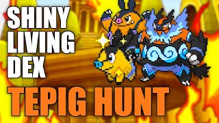 Back Looking For A Shiny Tepig  Pokemon Black 2 Shiny Living Dex  Shiny Hunting Live [upl. by Nosaes]