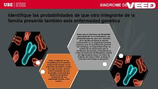 Sindrome de Klinefelter  Grupo 2  Genetica [upl. by Hollister]