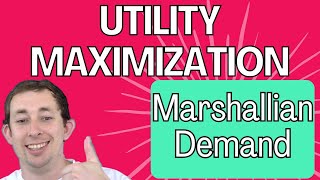 The 10 Minute Guide to Marshallian Demand and CobbDouglas Utility [upl. by Hendrickson]