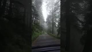 Into woods himalayas travel travelvlog rainyweather roadtrip rider forest [upl. by Singleton]