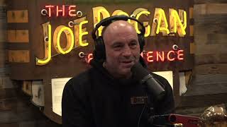 Joe Rogan Experience 1919  Bret Weinstein [upl. by Pyle]