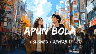 Apun bola Tu meri Laila lofi music slowedreverb l 90s lofi song lofimusic lofi reverb slowed [upl. by Euphemie]