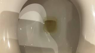 What is Causing the toilet water tank supply YELLOWISH COLOUR [upl. by Htedirem]