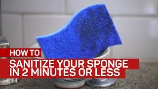 Sanitize your sponge in 2 minutes or less [upl. by Eojyllib624]