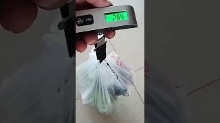 Portable Digital Hook Weight Scale [upl. by Ark857]