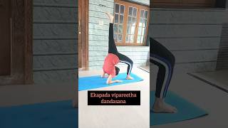 ekapada vipareetha dandasana ashtangayoga [upl. by Valeria]