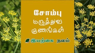 Fennel Seeds in Tamil  Sombu  Sombu in Tamil  சோம்பு  சோம்பு தண்ணீர் [upl. by Etnoid]