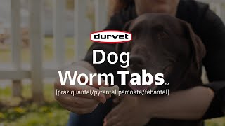 Provide 4Way Protection With Durvet Dog Worm Tabs [upl. by Gschu]