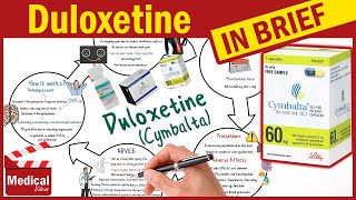 Duloxetine  Cymbalta  What is Duloxetine Used For Dosage Side Effects amp Precautions [upl. by Bibah339]