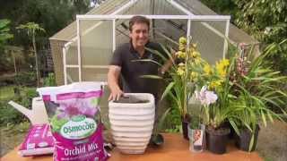 Grow your own orchids using Osmocote Professional Orchid Mix [upl. by Ledoux317]