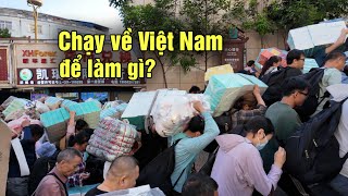 Tiểu thương Trung Quốc chen lấn đổ xô sang Việt Nam từ sớm để làm gì [upl. by Hgielak]