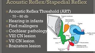 Acoustic Reflex  Stapedial Reflex in UrduHindi [upl. by Lonni41]