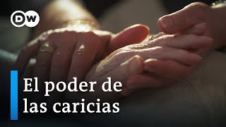 ¿Cómo afectan las caricias nuestra salud mental y física  DW Documental [upl. by Slyke]