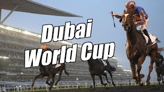 Peter Webb Bet Angel  Dubai World Cup [upl. by Yllitnahc845]