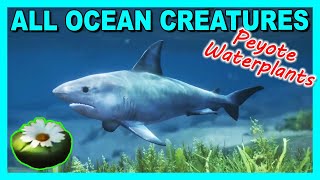 All Peyote Plants Ocean Creatures Peyote Plants Locations Map May 2024  GTA 5 Online [upl. by Marianne837]