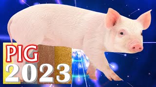 Pig Horoscope 2023 ❤ Born 2019 2007 1995 1983 1971 1959 1947 1935 [upl. by Nekcarb]