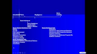 TORT LAWOVERVIEW AND NEGLIGENCE [upl. by Ashraf]