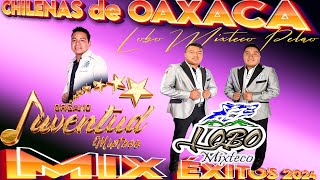 Lobo Mixteco ft Organo Juventud Mixteco 🍻 Chilenas Mixtecas  Chilenas Para Bailar mix [upl. by Nosyt]