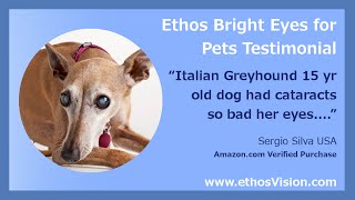 Ethos Carnosine Eye Drops for Dog Cataracts  Eye Drops For Dog Cataracts Review Video [upl. by Hen]