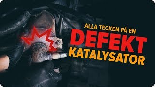 Så kontrollerar du en katalysator  AUTODOC tipsar [upl. by Prady]