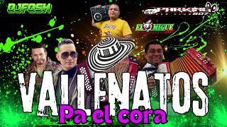 AUDIOMIX VALLENATO PAL CORAZON VOL2 BY DJ FOSH507  VALLENATO CORTA VENA  LOS CAMINOS DE LA VIDA [upl. by Akimed754]