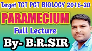 Paramecium Full lecture  tgt pgt biology 2020  most important points of paramecium  tgt pgt [upl. by Knorring95]