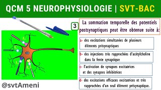 SVT Bac Neurophysiologie Intégration nerveuse  QCM 5 [upl. by Bollay]