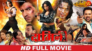 DAMINI  दामिनी  Rani Chatterjee VinayAnand Viraj Bhatt  Damini Movie  Bhojpuri Movie [upl. by Boyt]