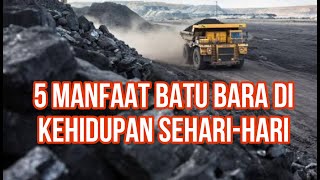 Proses Terbentuknya Batu Bara amp 5 Manfaat Batu Bara di Kehidupan Seharihari [upl. by Doty]